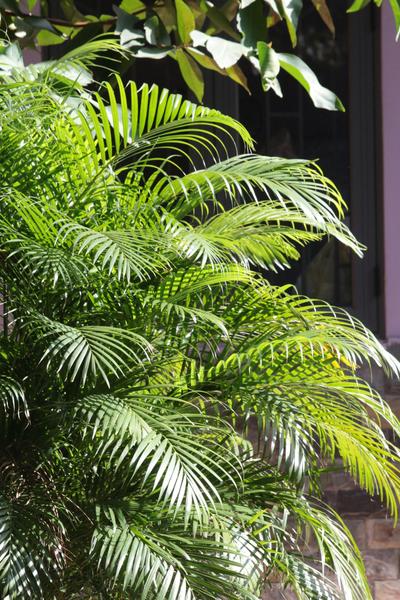 Image representing השכרת מונית מתל אביב לירושלים: מדריך מקיף לנסיעה חלקה ונוחה